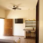 Cozy & Quiet Pet Friendly Studio