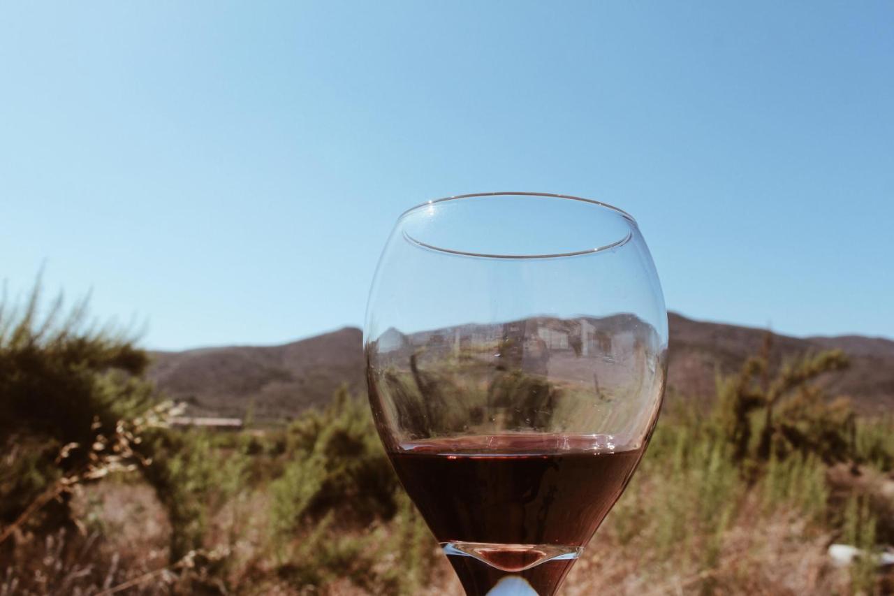 Marlet En La Ruta Del Vino Lodge