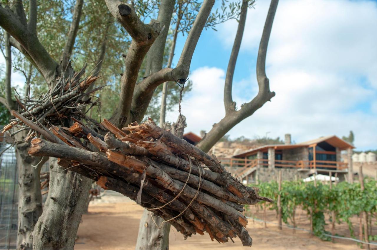 Quinta Estrella Ensenada