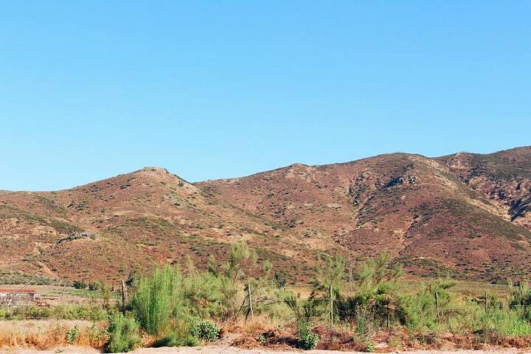 Marlet En La Ruta Del Vino Ensenada