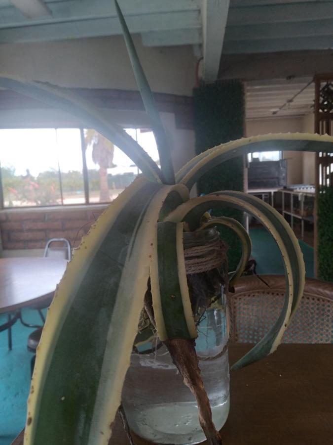 Casa Campo Rancho Villarino Aparthotel