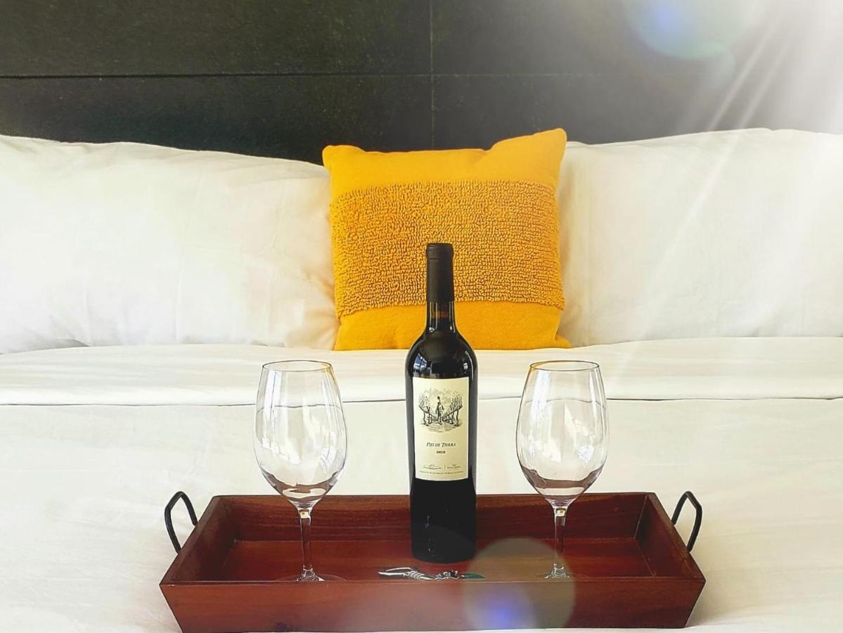 D'vino Valle De Guadalupe Ensenada