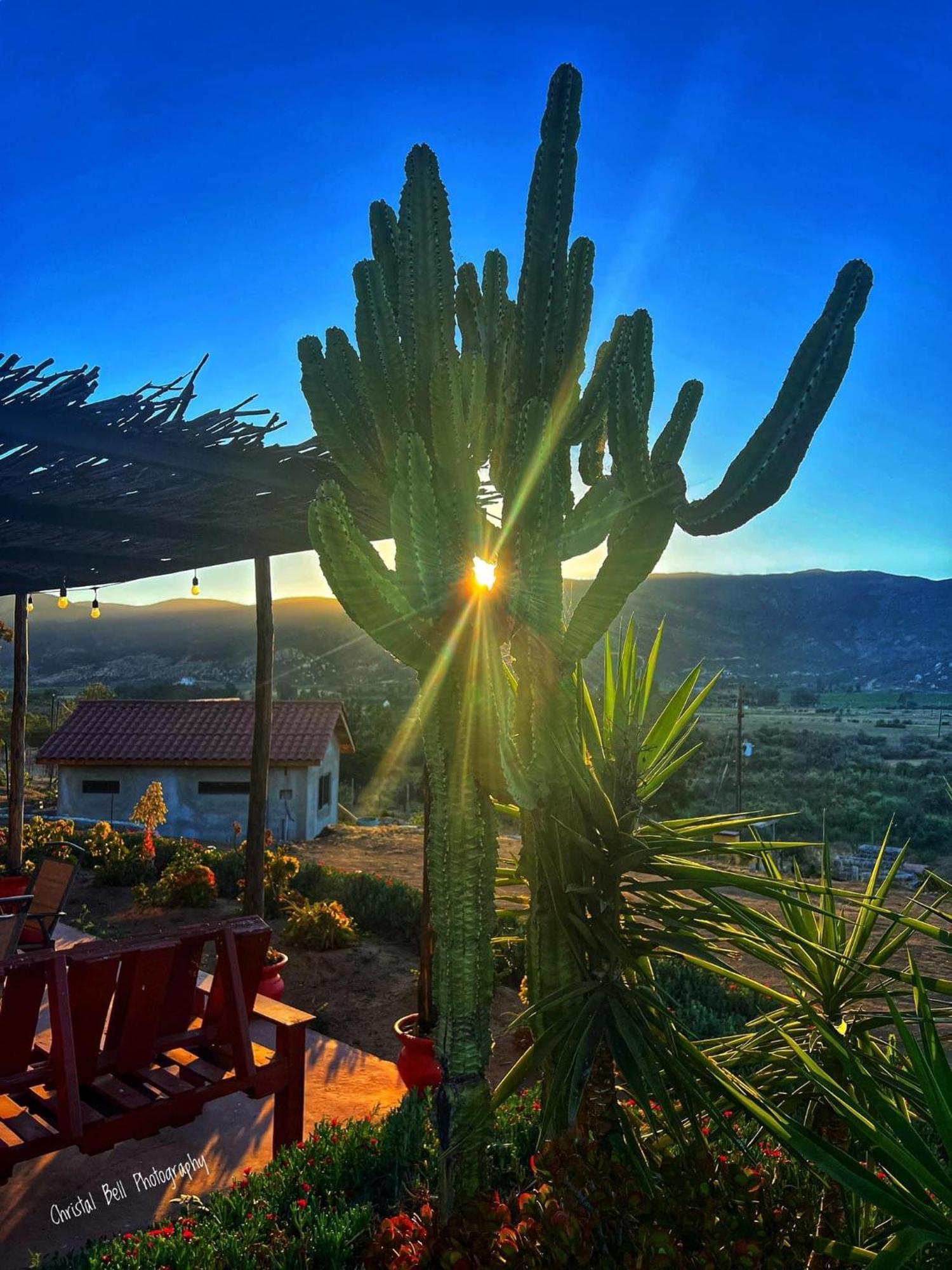 Gorgeous Fully Equipped Casita *