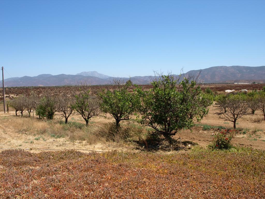 Rancho San Marcos Casa Grande